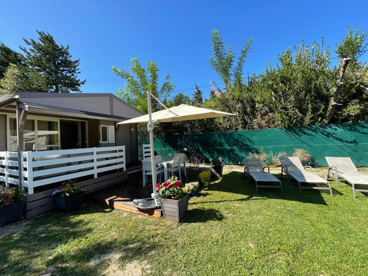 Avignon, Joli Chalet En Campagne Tres Proche De La Ville 外观 照片